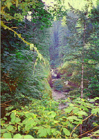 View From Pigout Rock