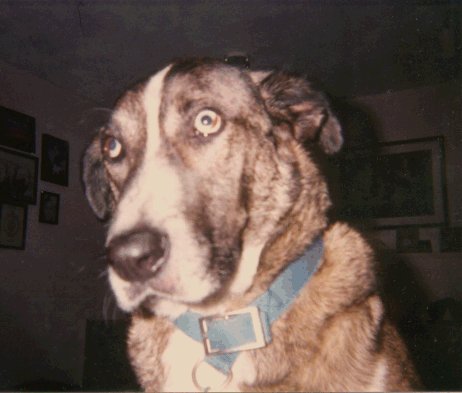 Toby<br>